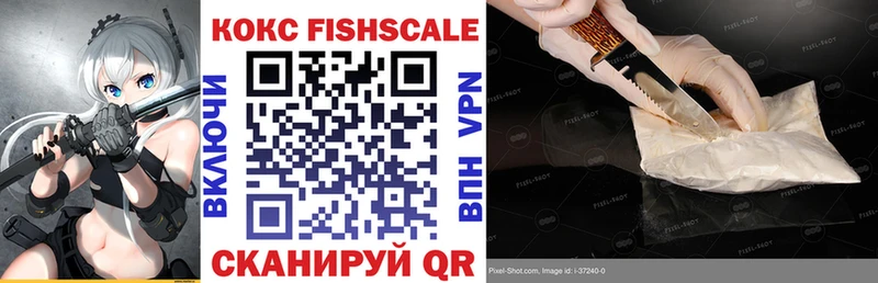 КОКАИН FishScale  Купить  Новоржев 