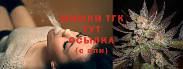 твердый Дмитровск