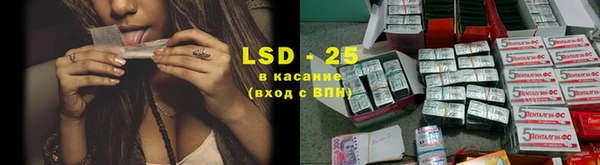твердый Дмитровск