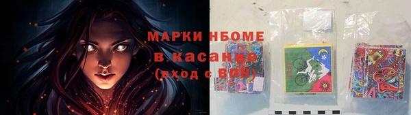 твердый Дмитровск