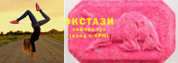 твердый Дмитровск