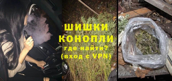 твердый Дмитровск