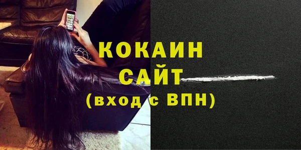 твердый Дмитровск