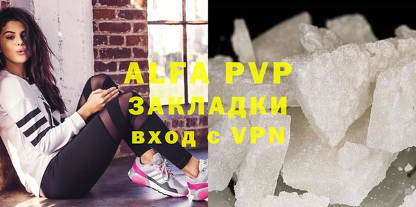 прущие грибы Гусев