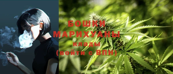 крисы Дмитриев