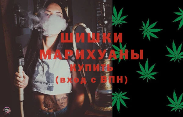 твердый Дмитровск