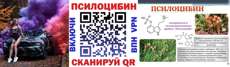 Купить  Новоржев  Галлюциногенные грибы MAGIC MUSHROOMS 